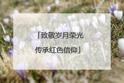致敬岁月荣光 传承红色信仰