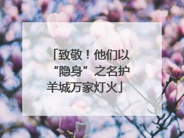 致敬！他们以“隐身”之名护羊城万家灯火