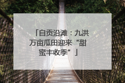 自贡沿滩：九洪万亩瓜田迎来“甜蜜丰收季”
