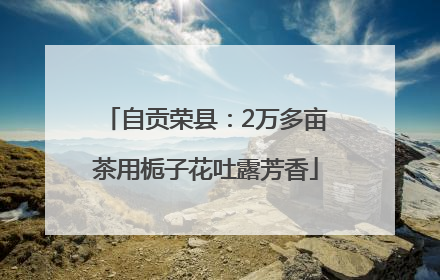 自贡荣县：2万多亩茶用栀子花吐露芳香