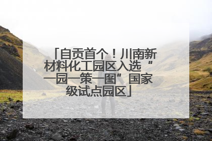 自贡首个！川南新材料化工园区入选“一园一策一图”国家级试点园区