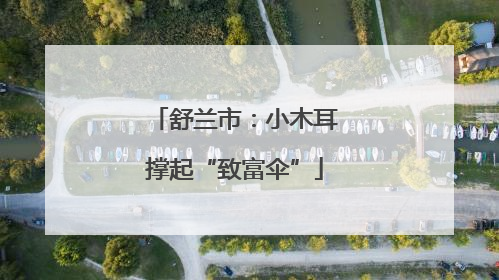舒兰市：小木耳撑起“致富伞”