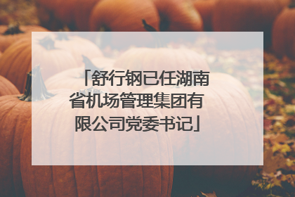 舒行钢已任湖南省机场管理集团有限公司党委书记