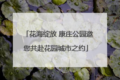 花海绽放 康庄公园邀您共赴花园城市之约