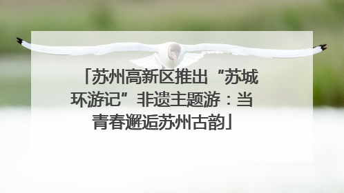 苏州高新区推出“苏城环游记”非遗主题游：当青春邂逅苏州古韵