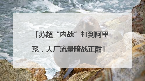 苏超“内战”打到阿里系，大厂流量暗战正酣