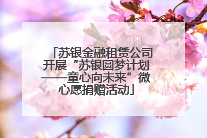 苏银金融租赁公司开展“苏银圆梦计划——童心向未来”微心愿捐赠活动