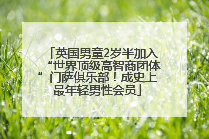 英国男童2岁半加入“世界顶级高智商团体”门萨俱乐部！成史上最年轻男性会员