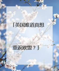 英国难道真想重返欧盟？