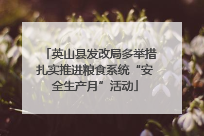 英山县发改局多举措扎实推进粮食系统“安全生产月”活动