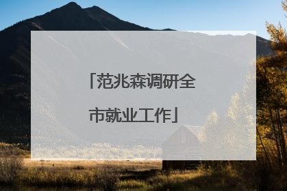范兆森调研全市就业工作
