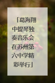 葛海翔中提琴独奏音乐会在苏州第六中学精彩举行