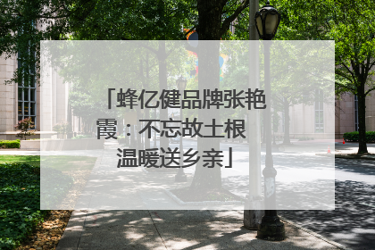 蜂亿健品牌张艳霞：不忘故土根 温暖送乡亲