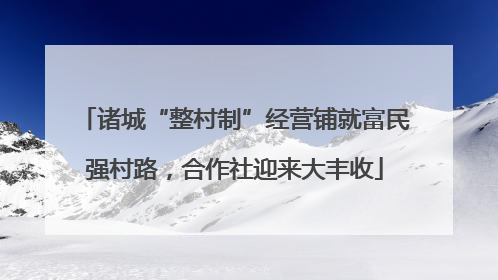 诸城“整村制”经营铺就富民强村路，合作社迎来大丰收
