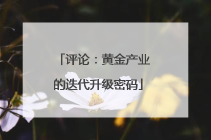 评论：黄金产业的迭代升级密码