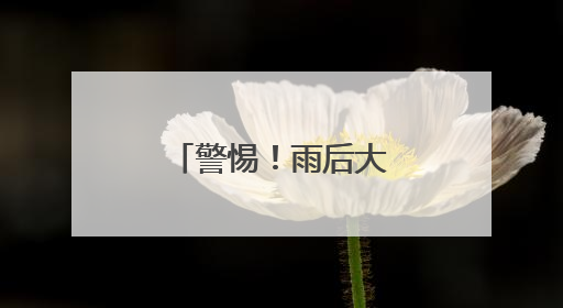 警惕！雨后大蜗牛出没 不能碰更不能吃
