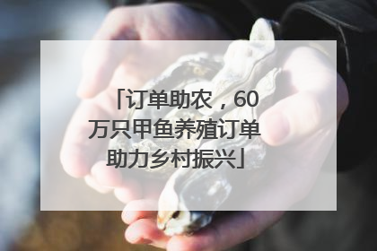订单助农，60万只甲鱼养殖订单助力乡村振兴