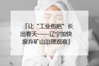 让“工业伤疤”长出春天——辽宁加快废弃矿山治理观察