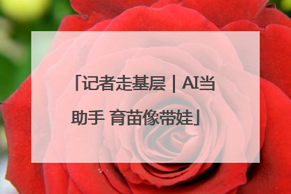记者走基层｜AI当助手 育苗像带娃