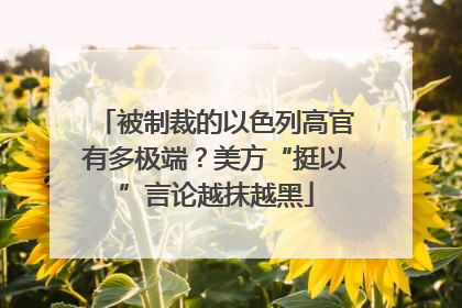 被制裁的以色列高官有多极端？美方“挺以”言论越抹越黑