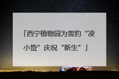 西宁植物园为雪豹“凌小蛰”庆祝“新生”