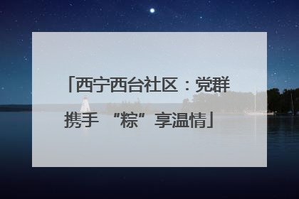 西宁西台社区：党群携手 “粽”享温情