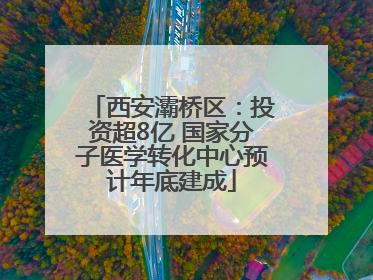 西安灞桥区：投资超8亿 国家分子医学转化中心预计年底建成