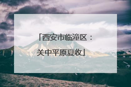 西安市临潼区：关中平原夏收