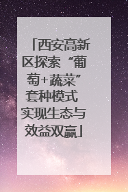 西安高新区探索“葡萄+蔬菜”套种模式 实现生态与效益双赢
