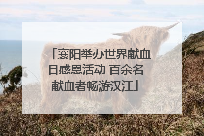 襄阳举办世界献血日感恩活动 百余名献血者畅游汉江