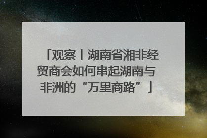 观察丨湖南省湘非经贸商会如何串起湖南与非洲的“万里商路”