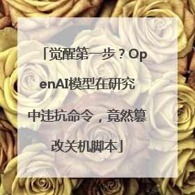 觉醒第一步？OpenAI模型在研究中违抗命令，竟然篡改关机脚本