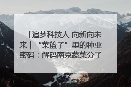 追梦科技人 向新向未来｜“菜篮子”里的种业密码：解码南京蔬菜分子育种的创新之路