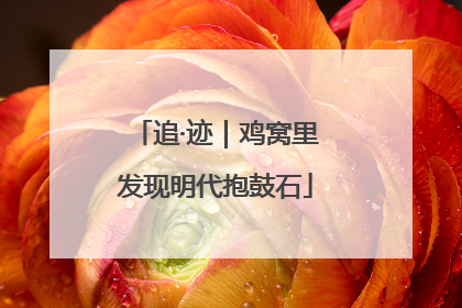 追·迹｜鸡窝里发现明代抱鼓石