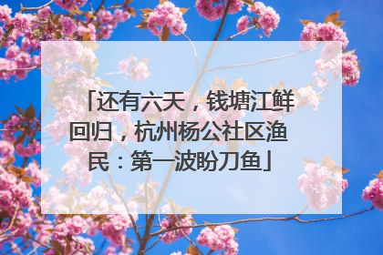还有六天，钱塘江鲜回归，杭州杨公社区渔民：第一波盼刀鱼