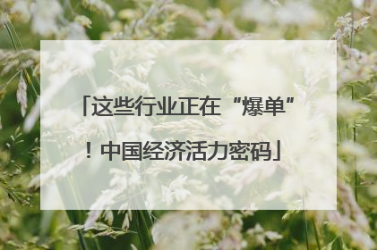 这些行业正在“爆单”！中国经济活力密码