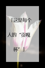 这是每个人的“贡嘎杯”