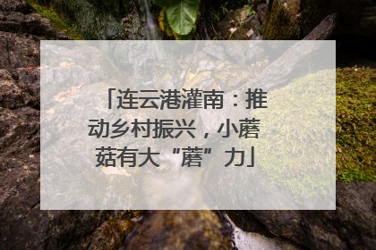 连云港灌南：推动乡村振兴，小蘑菇有大“蘑”力