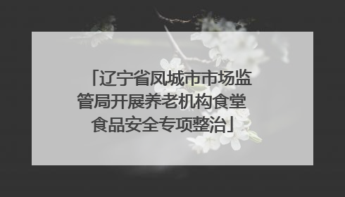 辽宁省凤城市市场监管局开展养老机构食堂食品安全专项整治