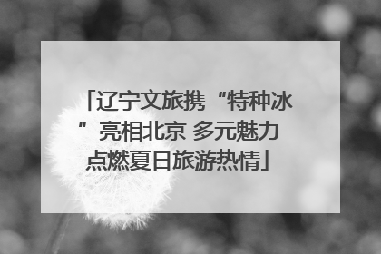 辽宁文旅携“特种冰”亮相北京 多元魅力点燃夏日旅游热情