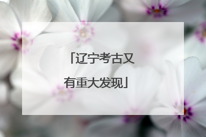 辽宁考古又有重大发现