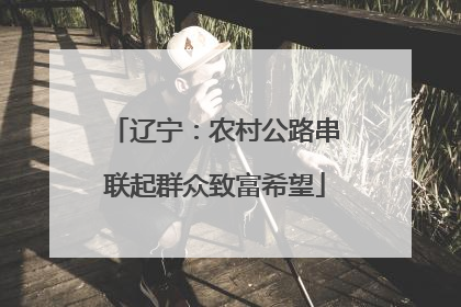 辽宁：农村公路串联起群众致富希望