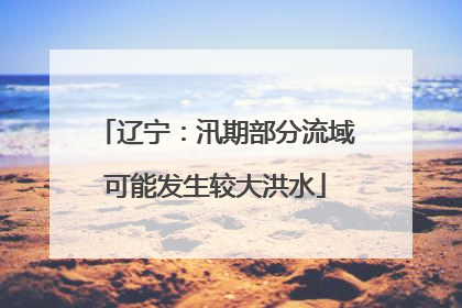 辽宁：汛期部分流域可能发生较大洪水