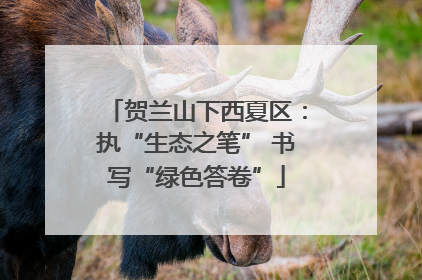 贺兰山下西夏区：执“生态之笔” 书写“绿色答卷”