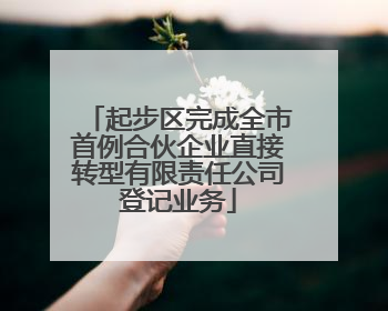 起步区完成全市首例合伙企业直接转型有限责任公司登记业务