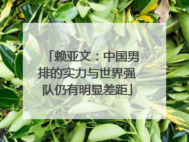 赖亚文：中国男排的实力与世界强队仍有明显差距