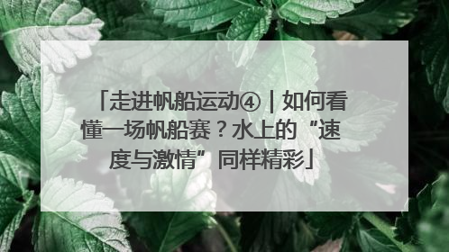 走进帆船运动④｜如何看懂一场帆船赛？水上的“速度与激情”同样精彩