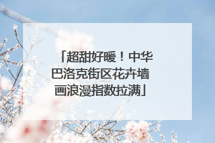 超甜好暖！中华巴洛克街区花卉墙画浪漫指数拉满