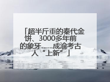 超半斤重的秦代金饼、3000多年前的象牙……成渝考古人“上新”