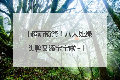 超萌预警！八大处绿头鸭又添宝宝啦~